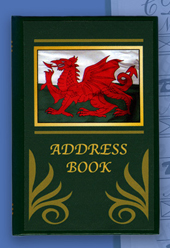 Little Welsh Dragon Address Book (green)