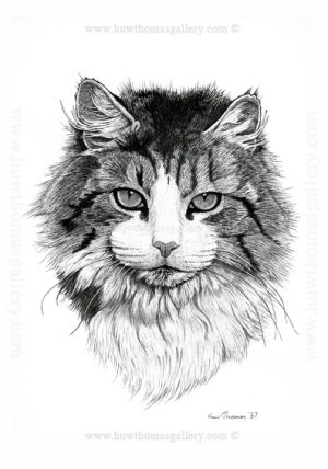 Cat (b&w) Unframed Print