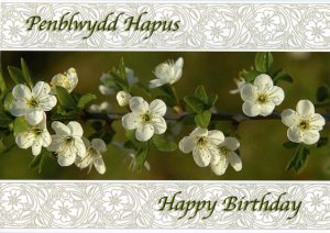 Design Pbf 02 – Welsh Birthday Card – Penblwydd Hapus & Happy Birthday