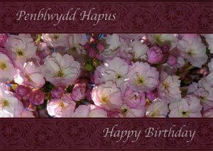 Design Pbf 03 – Welsh Birthday Card – Penblwydd Hapus & Happy Birthday