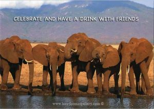 Birthday Card With Elephants