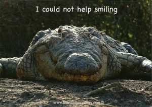 Birthday Card With Smiling Crocodile