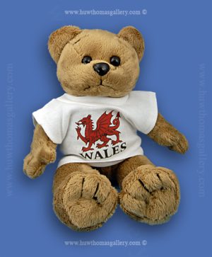Welsh Teddy Bear With Welsh Dragon T-shirt