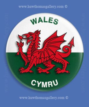 Welsh Dragon / Welsh Flag Fridge Magnet