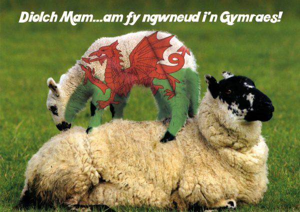 Mothers Day – Diolch Mam – Greeting In Welsh