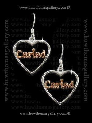Cariad Silver Earrings – Rose Gold ( Heart Shaped )