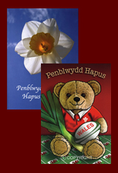 Welsh Birthday Cards - Penblwydd Hapus -Happy Birthday