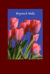 Get Well Cards - Inside: Brysiwch Wella - Get Well Soon