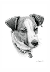 Dog Prints - from Original Pencil Drawings by Huw Thomas